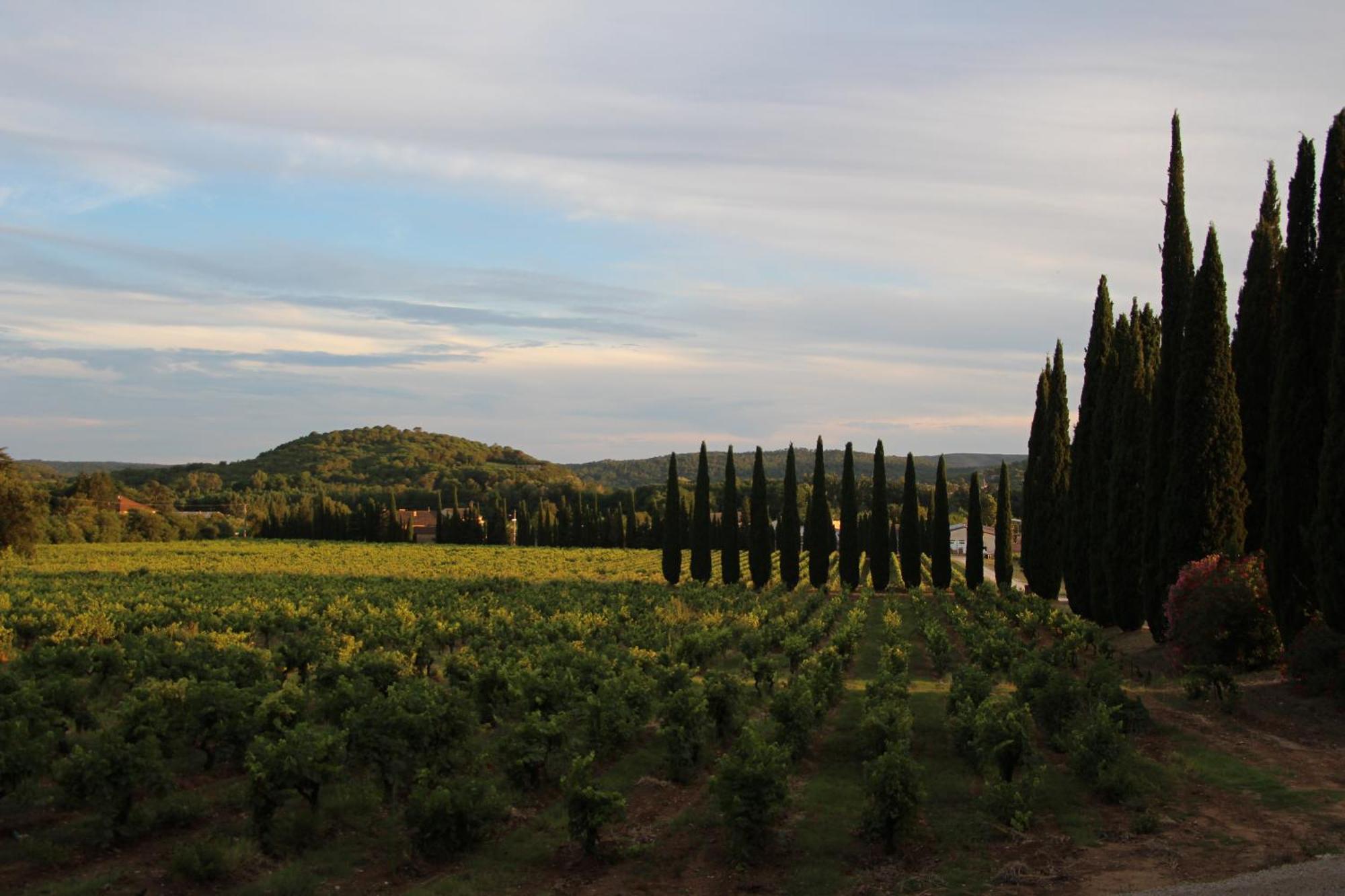 Chateau De L'Olivete Cornillon Buitenkant foto